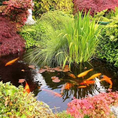 koi fish ideas|15 Koi Pond Ideas That Promise Pure Tranquility .